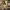 A Softer Reality Available From 27 August 2026 (117)