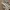 A Softer Reality Available From 27 August 2026 (65)