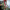 Create Crepe Paper Mistletoes