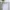 Sostrene Grene 2535 Ecom 003