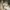 A Softer Reality Available From 27 August 2026 (2)_AI-modified content