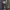 New Artificial Flowers Sostrene Grene Available From 31 July 2025 (8)