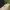 A Softer Reality Available From 27 August 2026 (40)