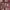 Sostrene Grene Christmas Preview Available From October 2025 (5)