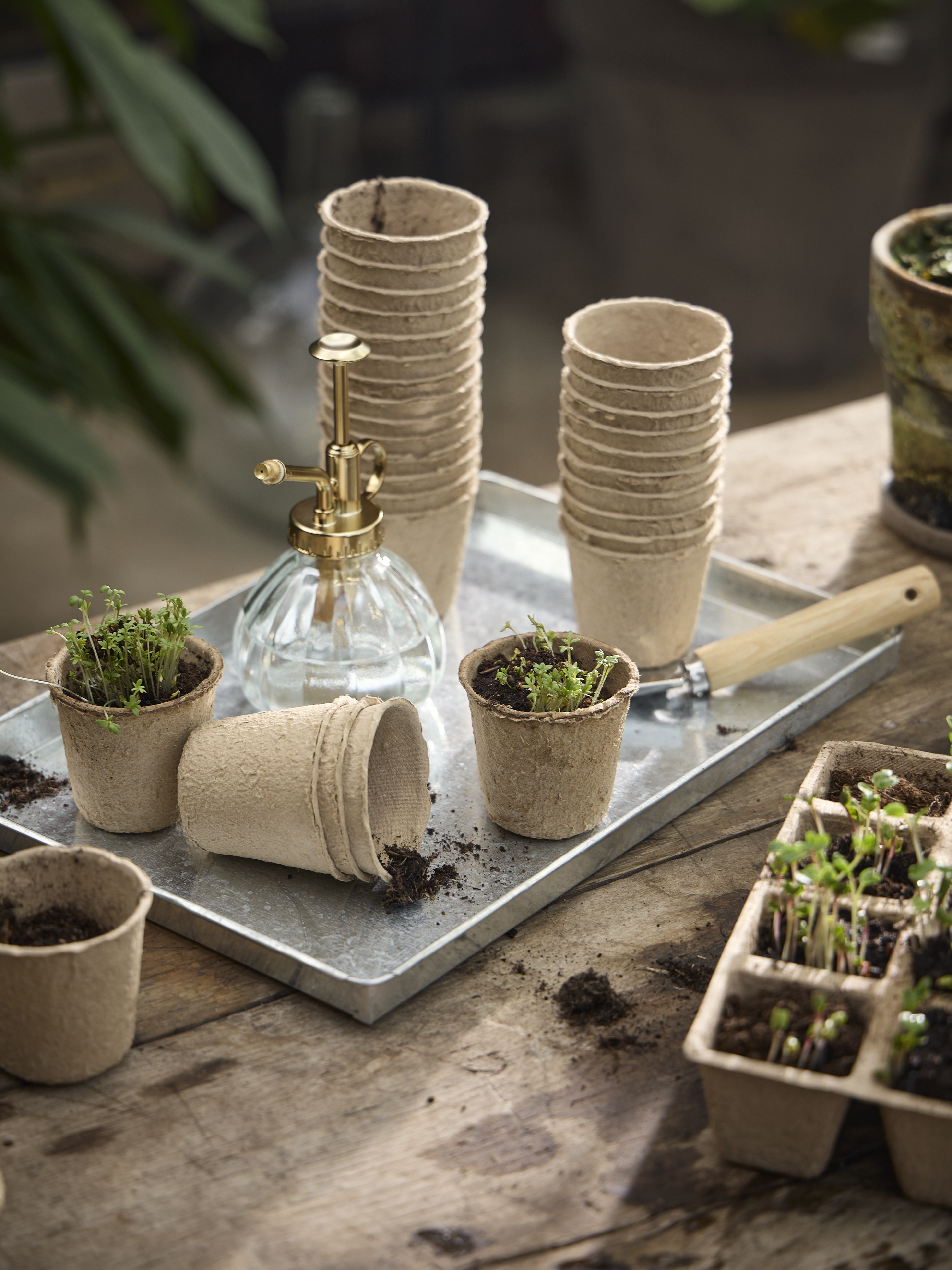 Spring Preparations Sostrene Grene Available From 5 March 2026 (24)