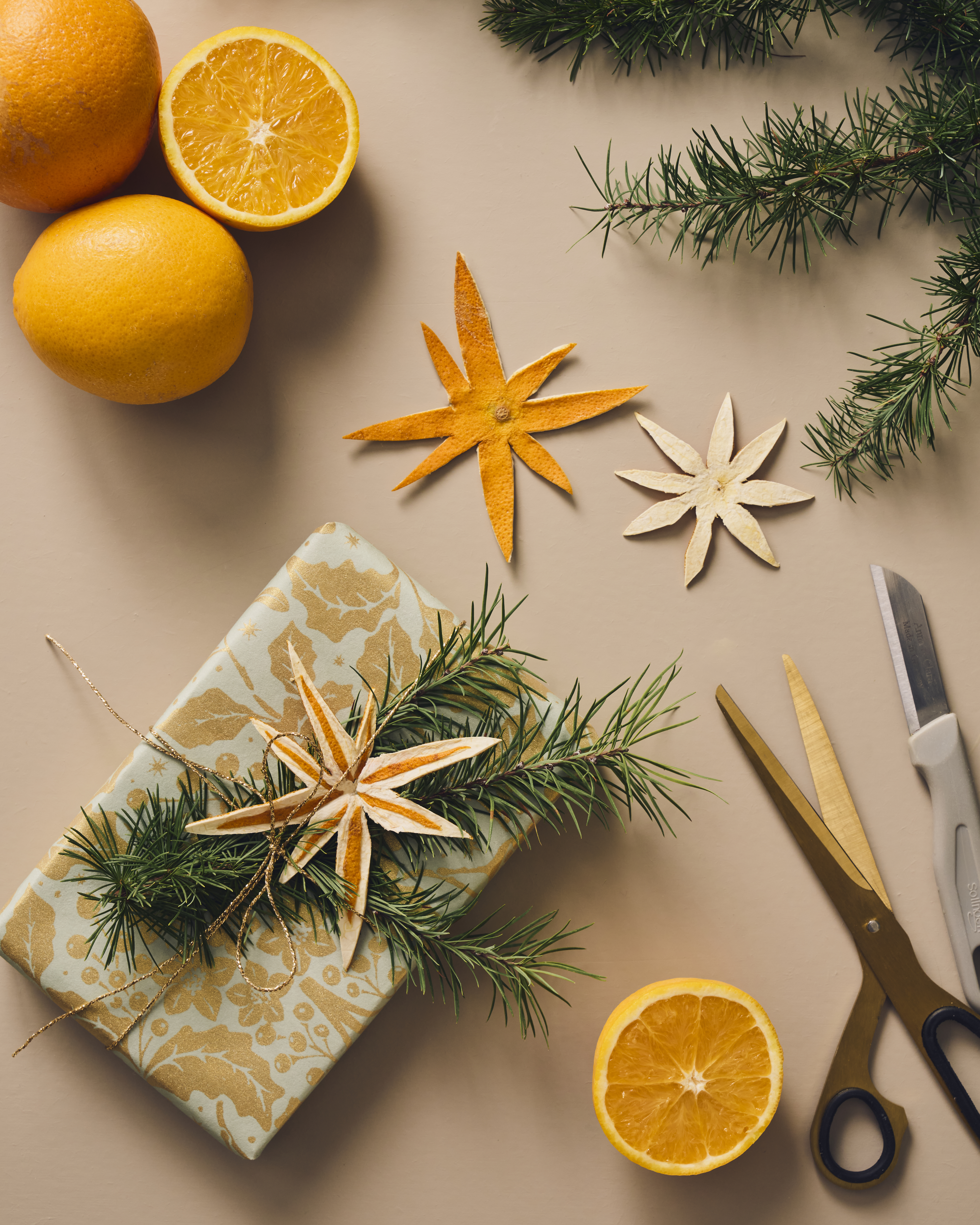 Dried Orange Decorations (3)