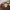 A Softer Reality Available From 27 August 2026 (44)