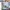 Sostrene Grene Marketing Images (19)