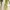 New Artificial Flowers Sostrene Grene Available From 31 July 2025 (15)