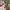 Sostrene Grene Christmas Preview Available From October 2025 (22)