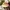 New Artificial Flowers Sostrene Grene Available From 31 July 2025 (17)