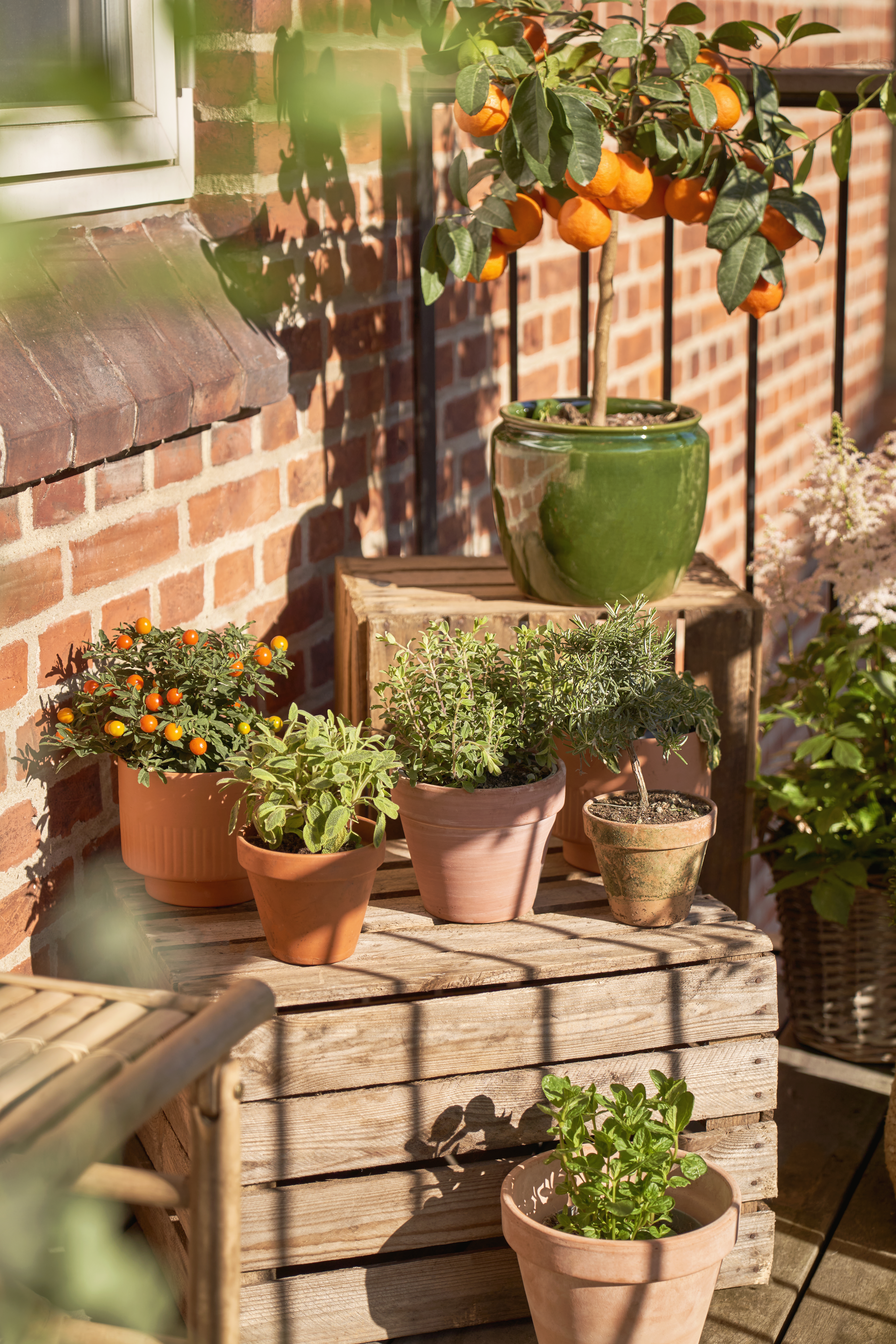 Get Your Balcony Ready For Spring (3)