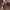 Sostrene Grene Christmas Preview Available From October 2026 (18)