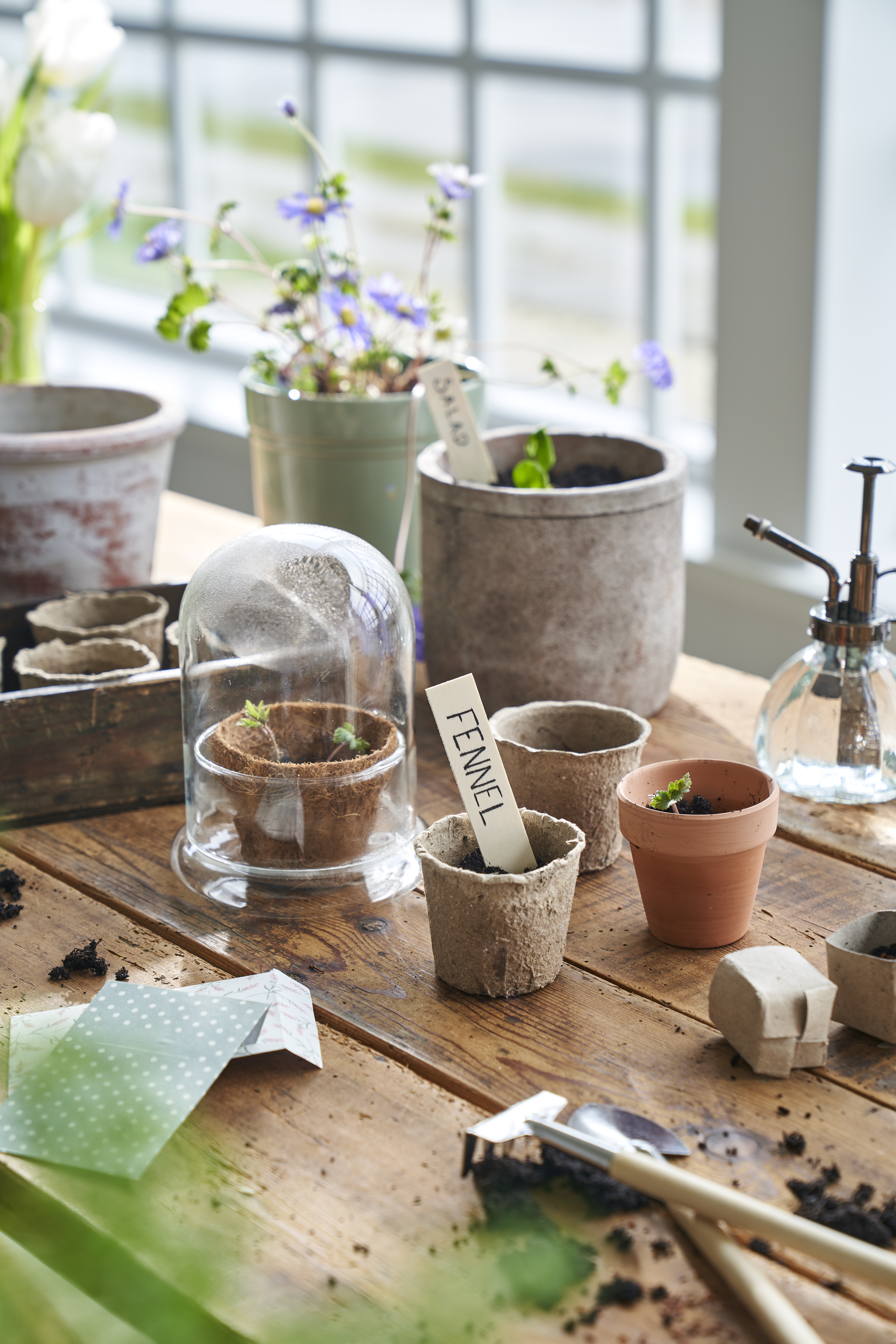 Guide For Pre Sprouting (3)