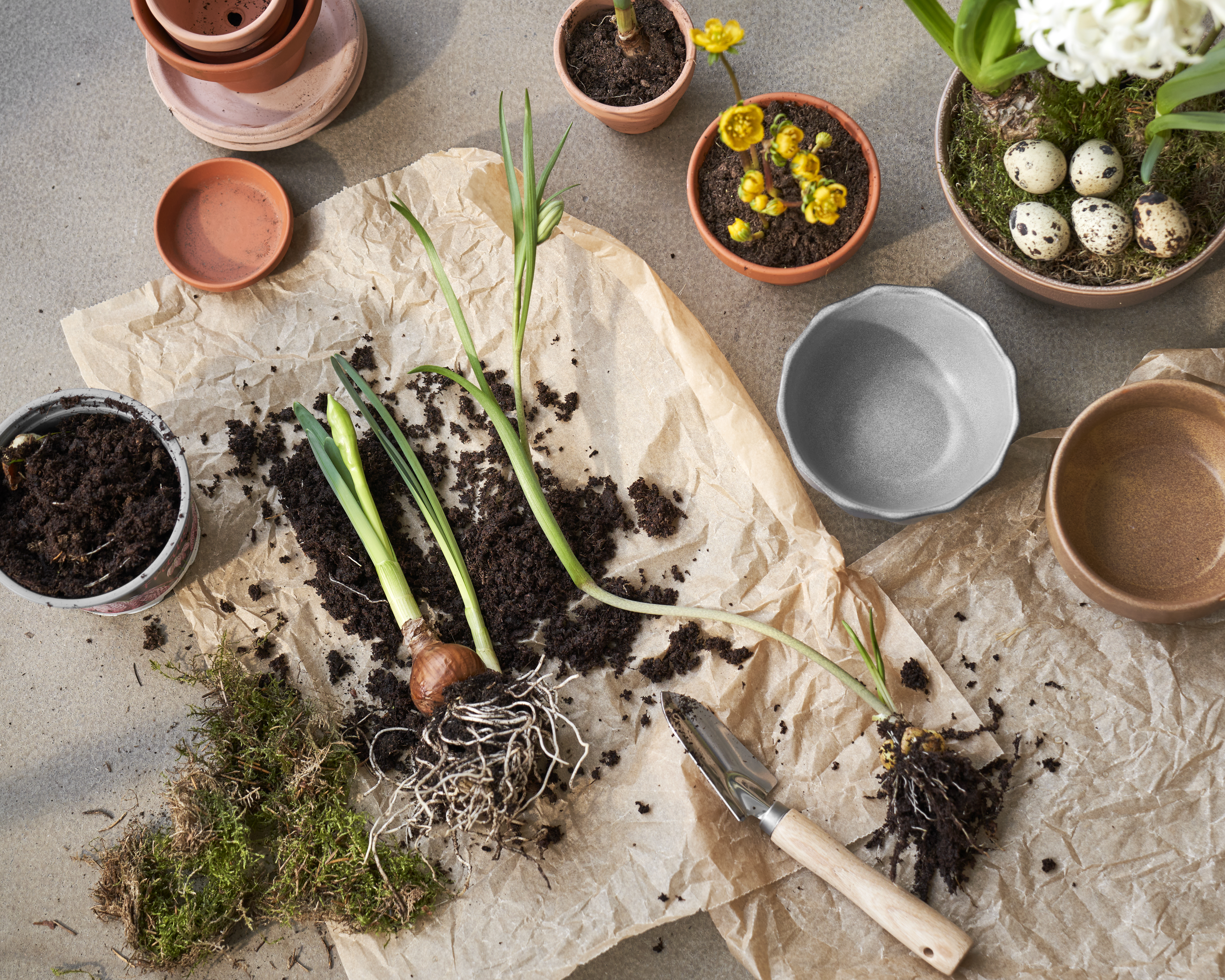 7 Splendid Easter Decorations Easter At Sostrene Grene (12)