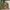A Softer Reality Available From 27 August 2026 (124)