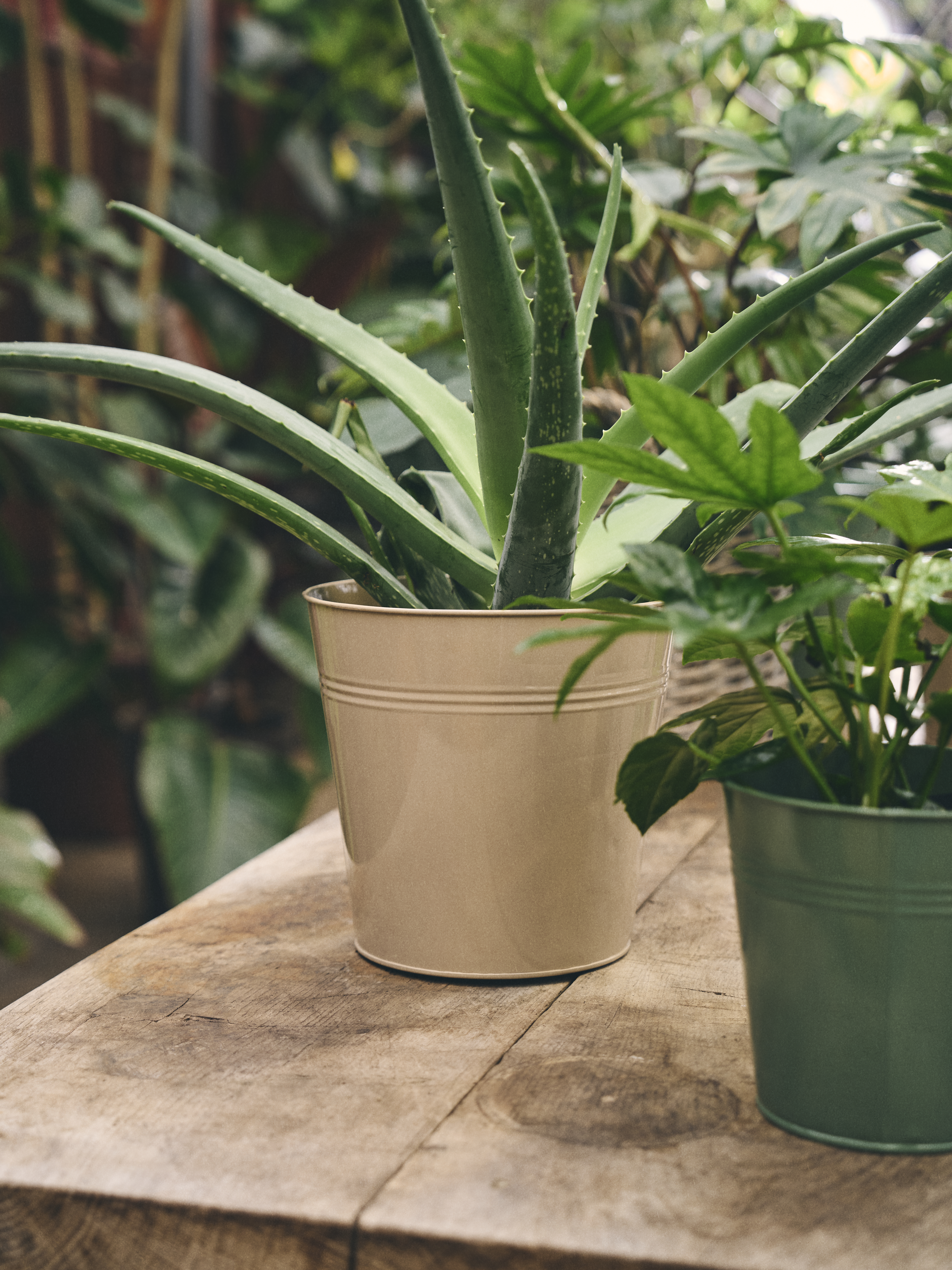 Available From 19 March 2026 Outdoor Living Sostrene Grene (52)