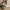 Sostrene Grene Christmas Preview Available From October 2025 (53)
