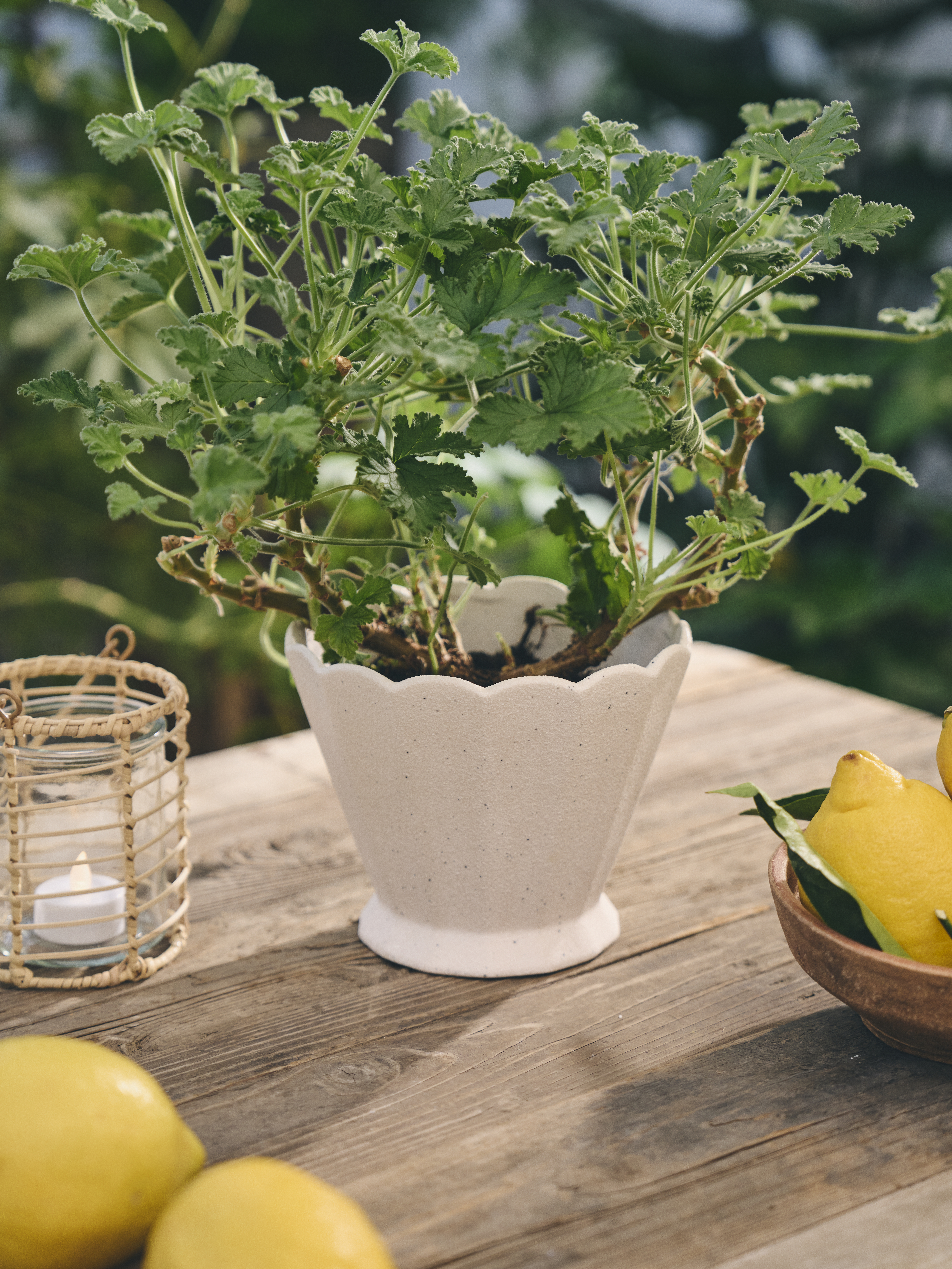 Available From 19 March 2026 Outdoor Living Sostrene Grene (35)