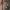 Sostrene Grene Christmas Preview Available From October 2026 (37)