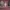 Sostrene Grene Christmas Preview Available From October 2025 (11)