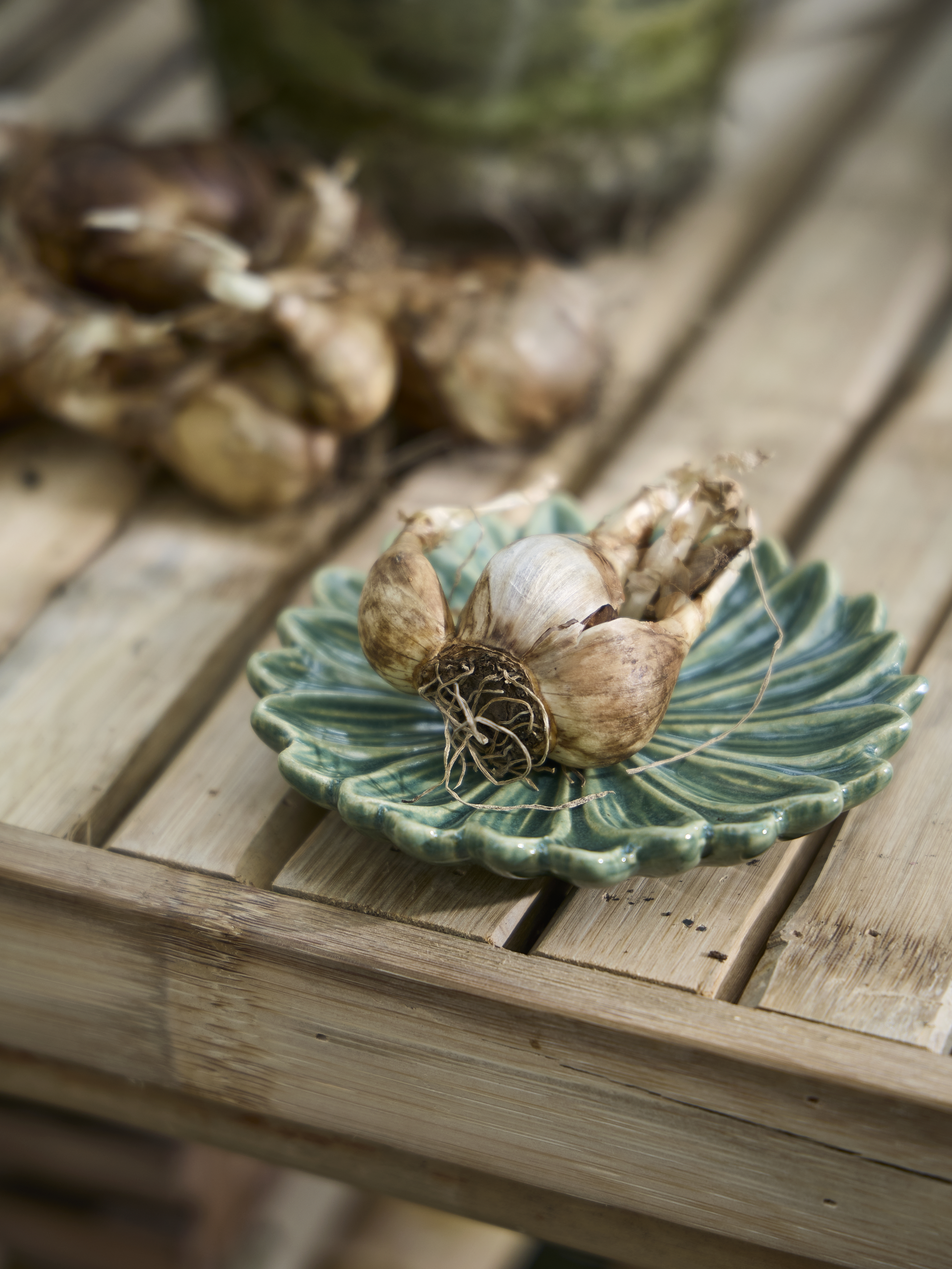 Available From 5 March 2026 Spring Preparations Sostrene Grene (53)