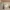 A Softer Reality Available From 27 August 2026 (108)