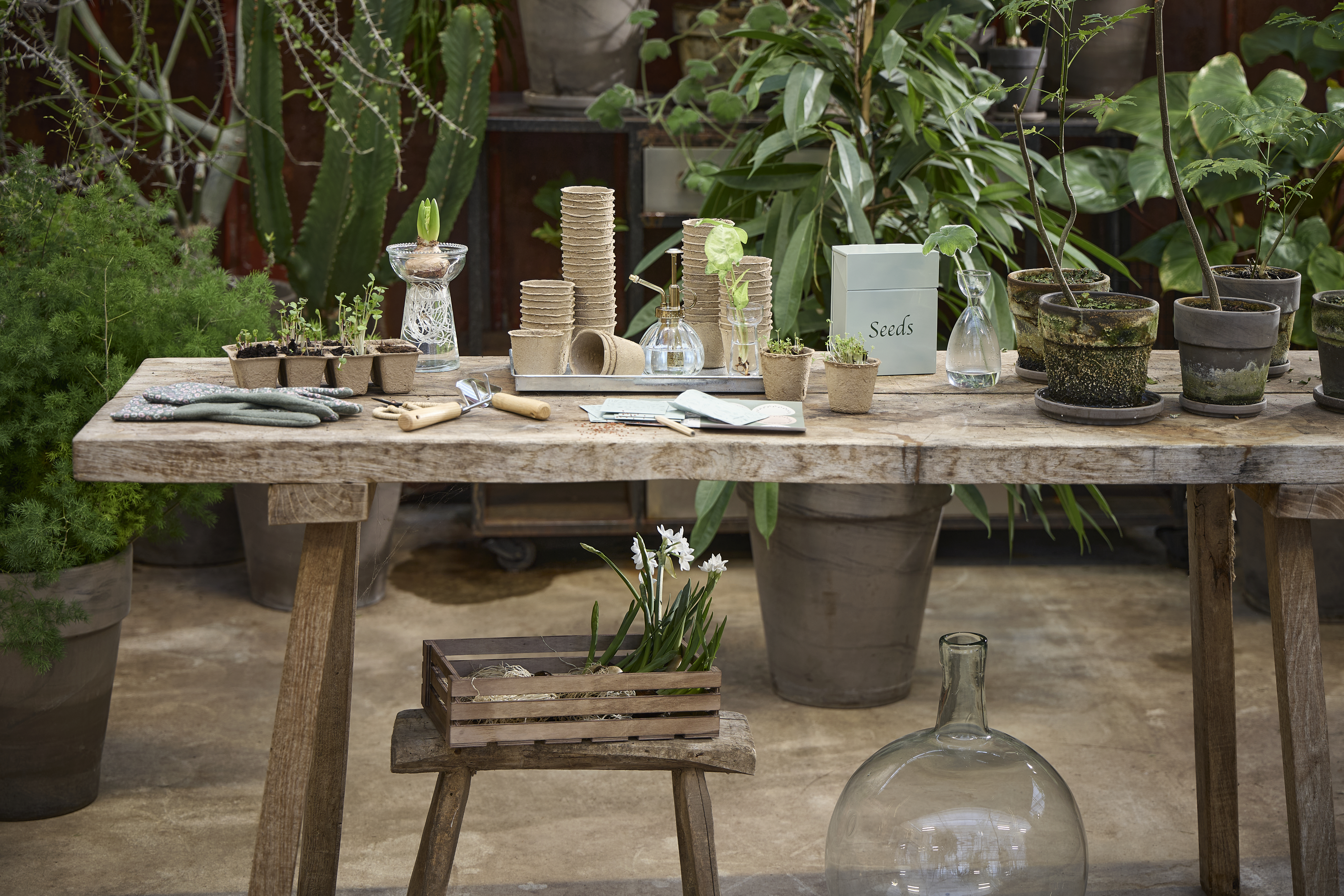 Spring Preparations Sostrene Grene Available From 5 March 2026 (67)