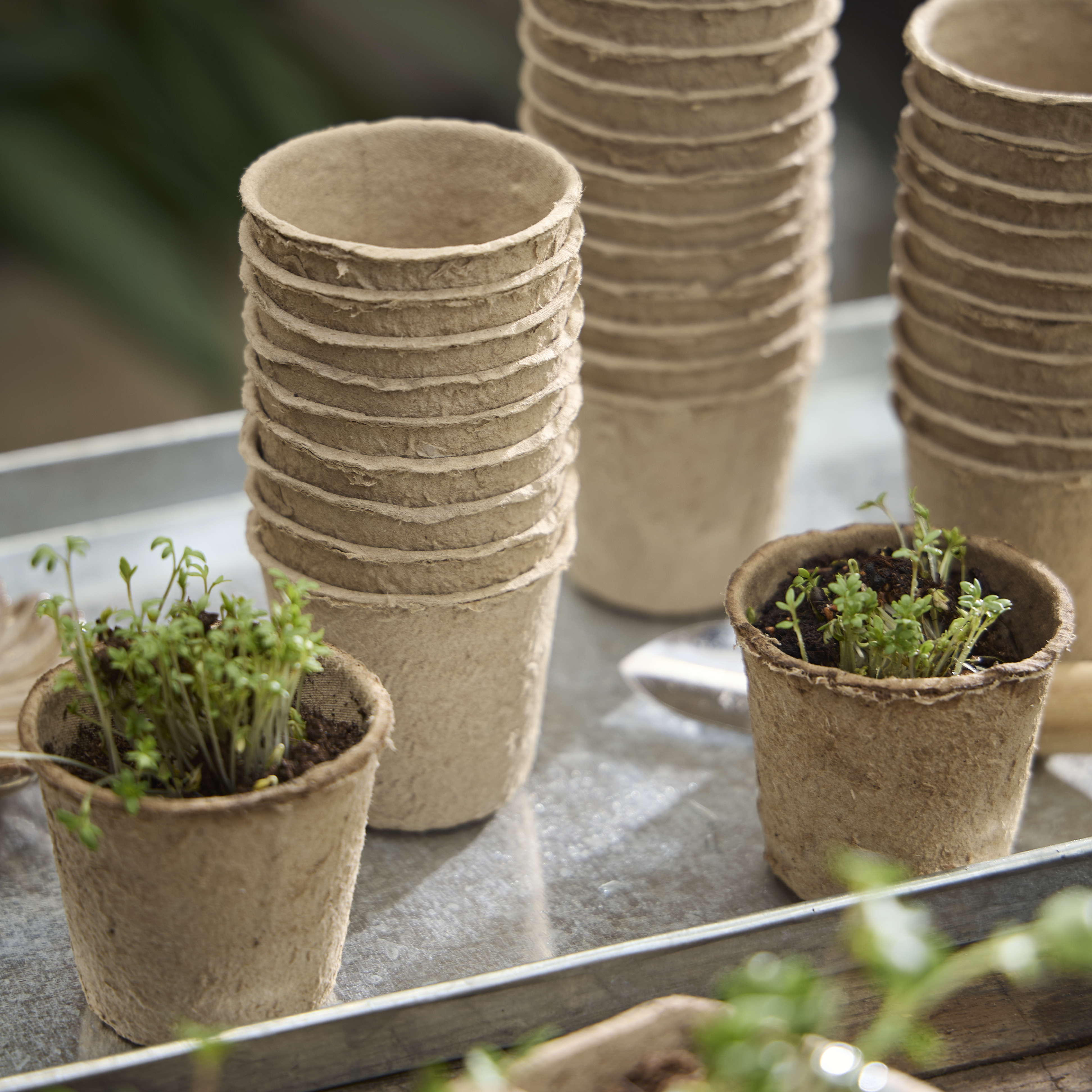 Spring Preparations Sostrene Grene Available From 26 February 2026 (41)