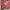 Sostrene Grene 2535 Ecom 022
