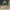 A Softer Reality Available From 27 August 2026 (28)