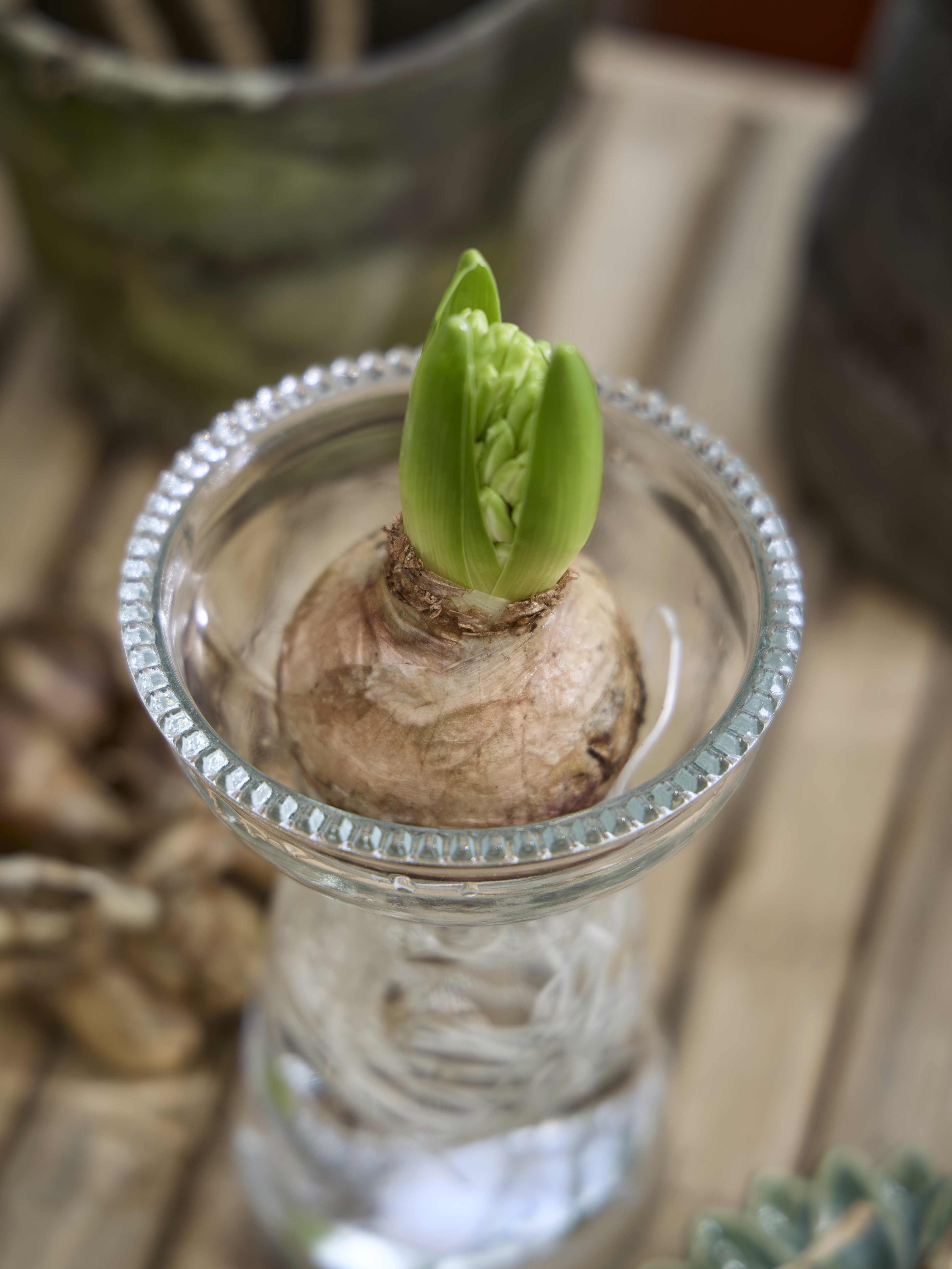 Spring Preparations Sostrene Grene Available From 5 March 2026 (26)