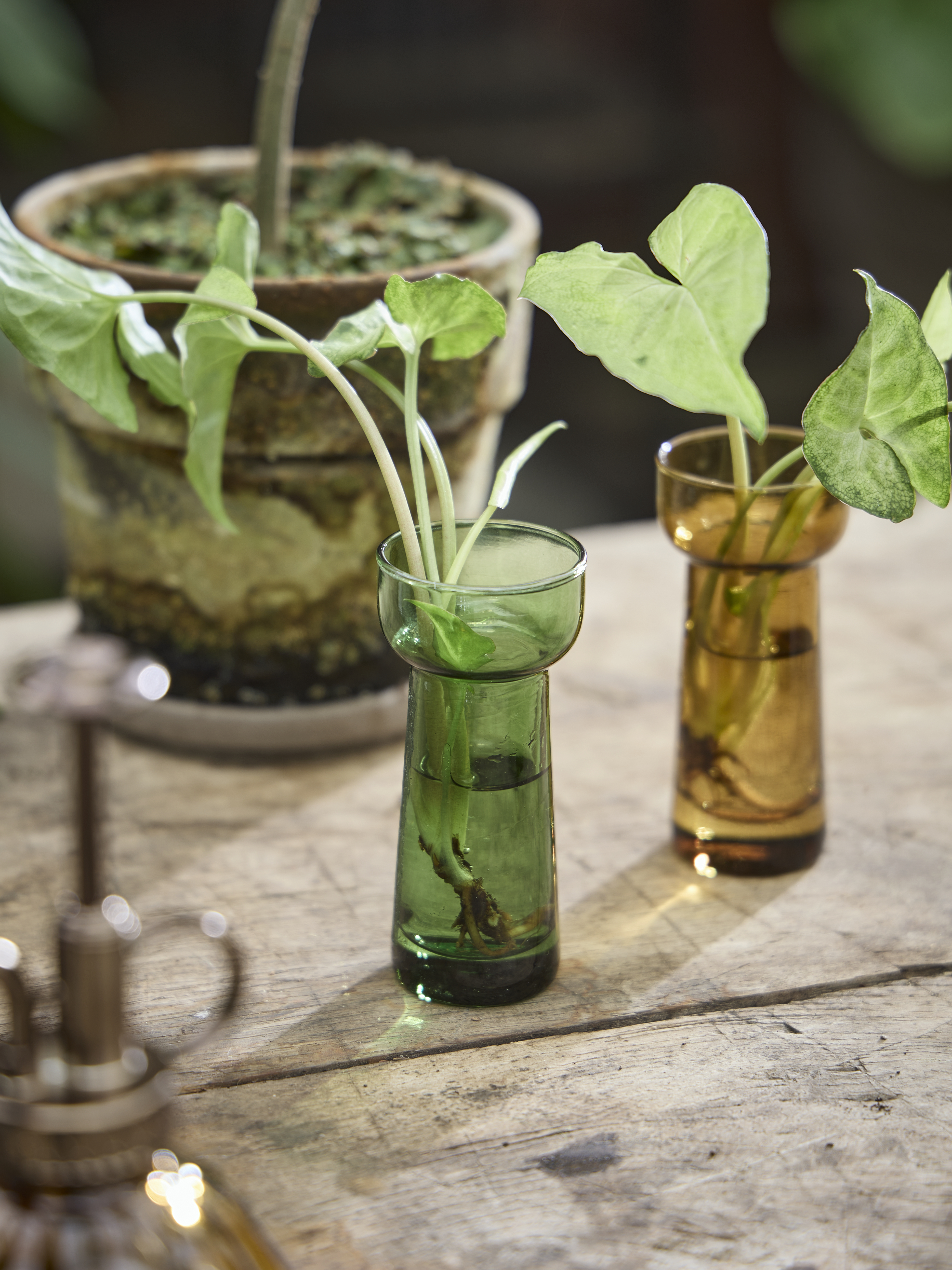 Spring Preparations Sostrene Grene Available From 5 March 2026 (17)