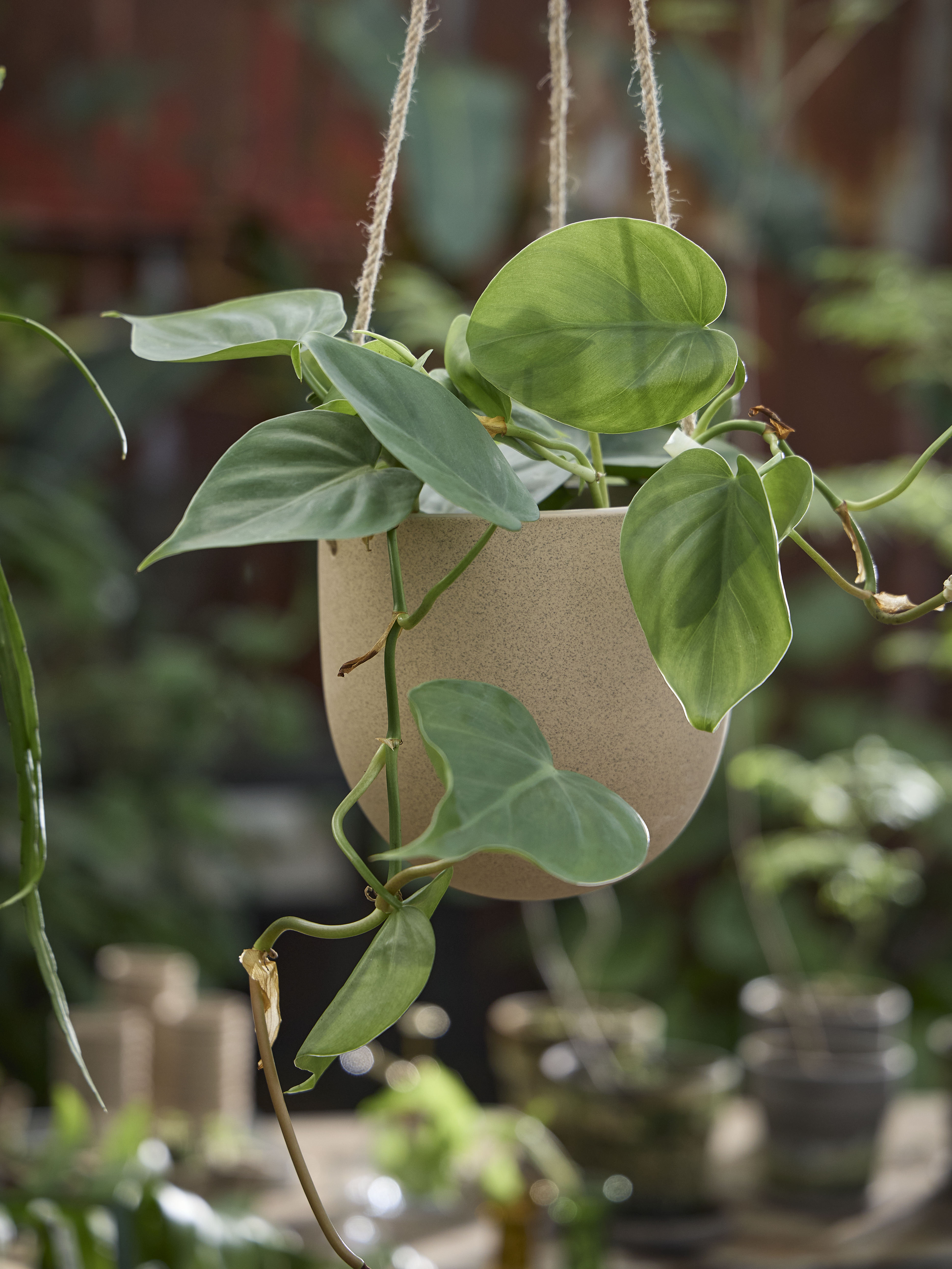 Spring Preparations Sostrene Grene Available From 26 February 2026 (60)