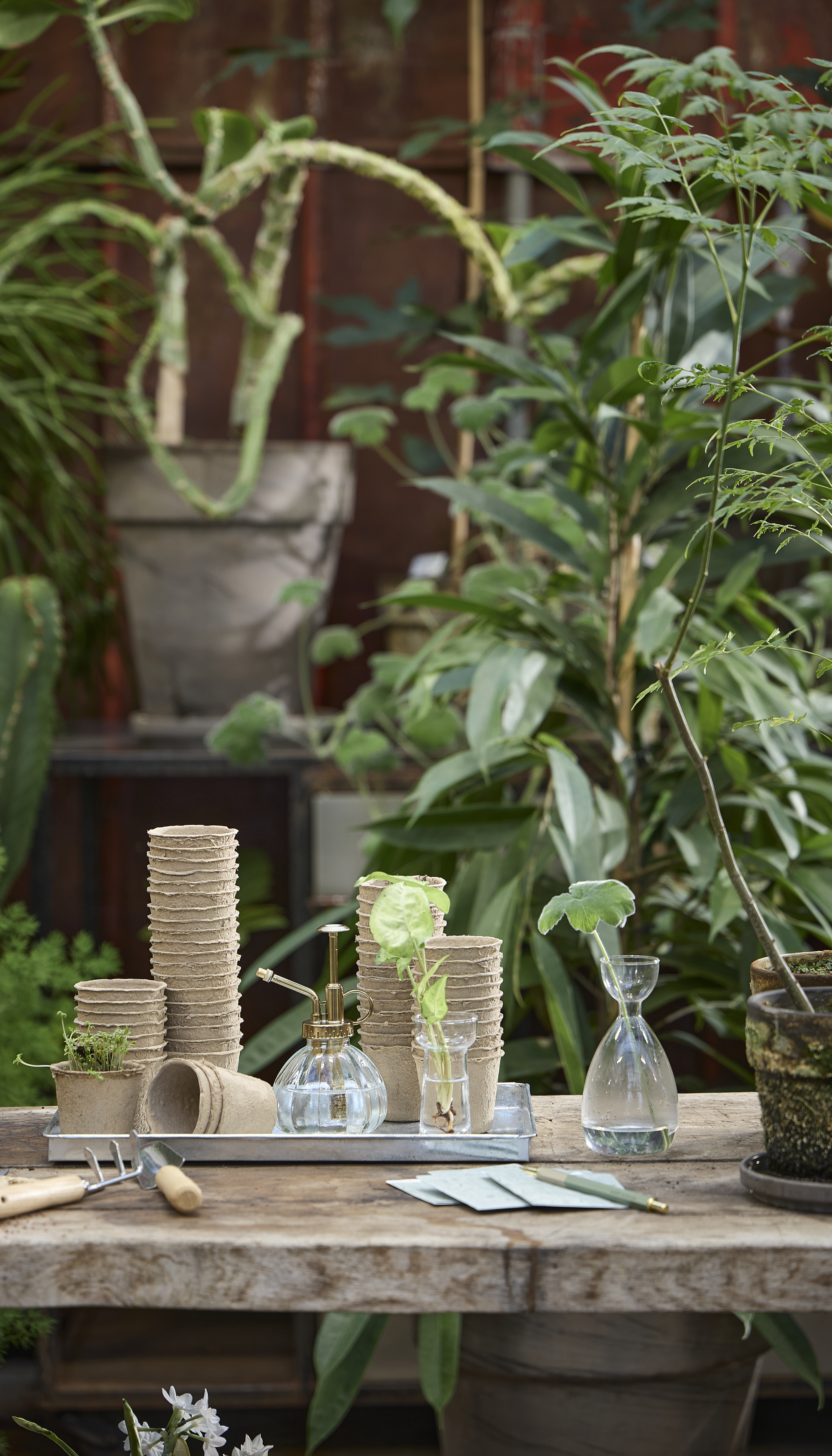 Available From 5 March 2026 Spring Preparations Sostrene Grene (4)