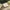A Softer Reality Available From 27 August 2026 (100)