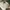 A Softer Reality Available From 27 August 2026 (18)_AI-modified content