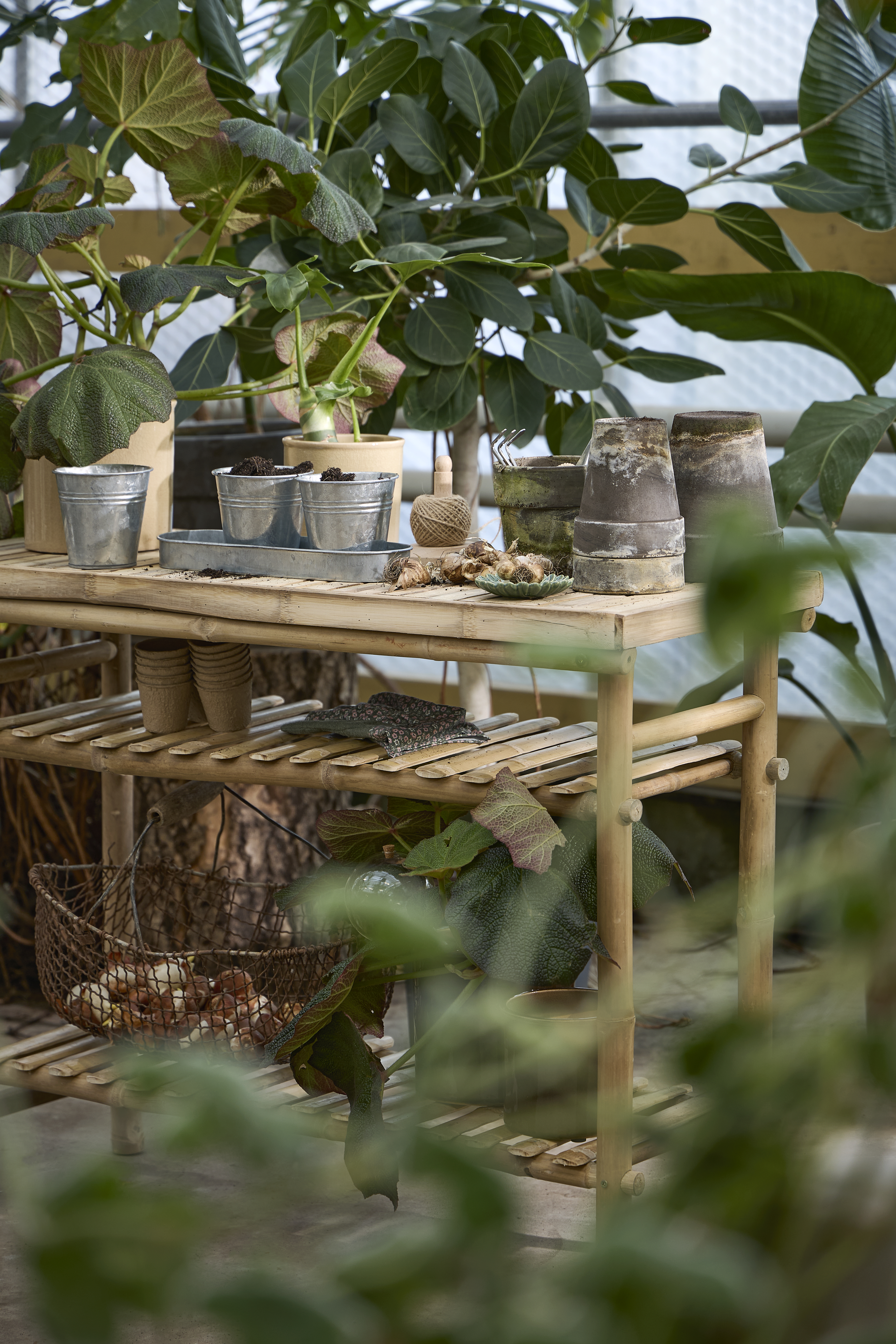 Spring Preparations Sostrene Grene Available From 5 March 2026 (1)