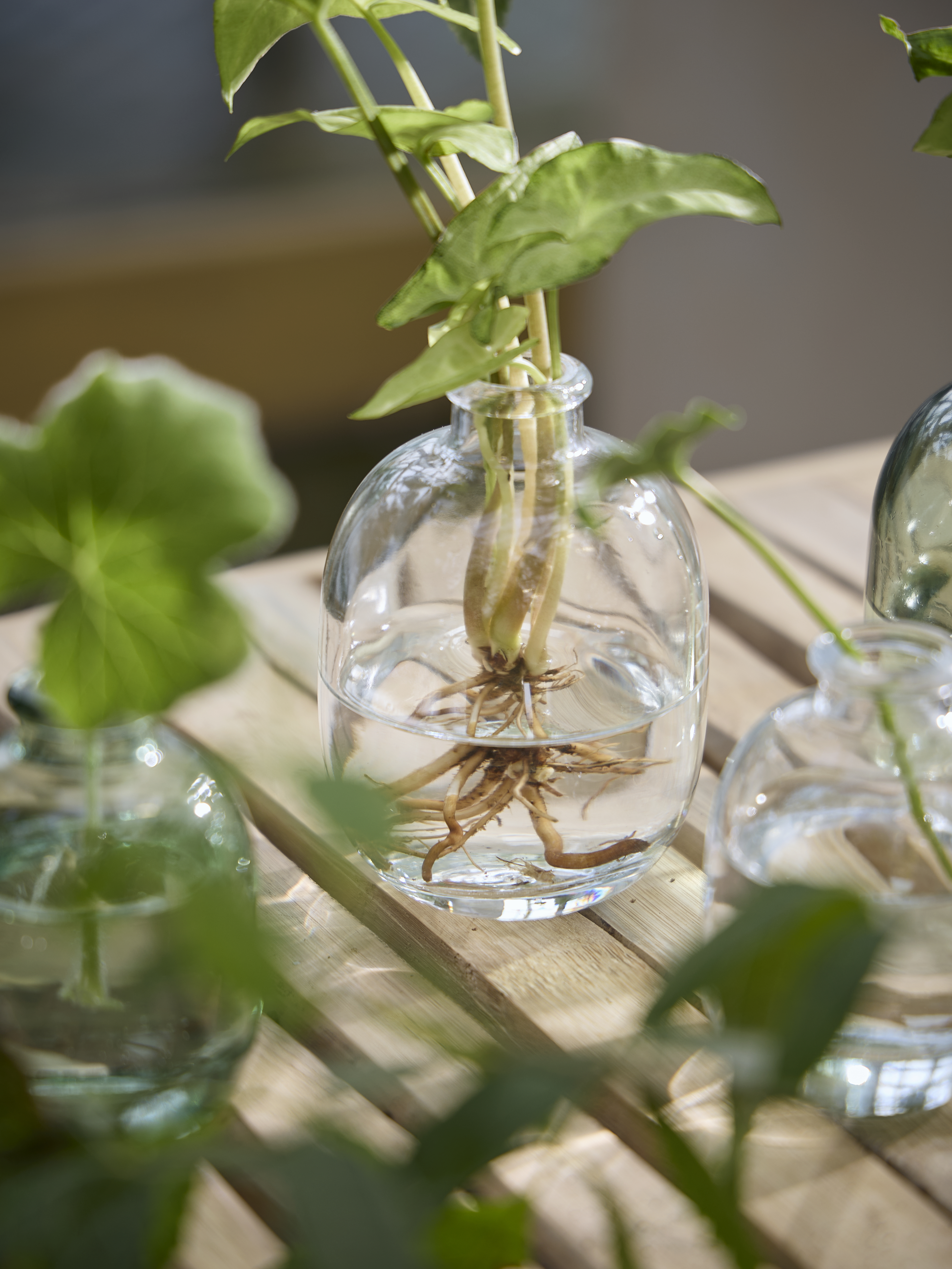 Available From 5 March 2026 Spring Preparations Sostrene Grene (49)