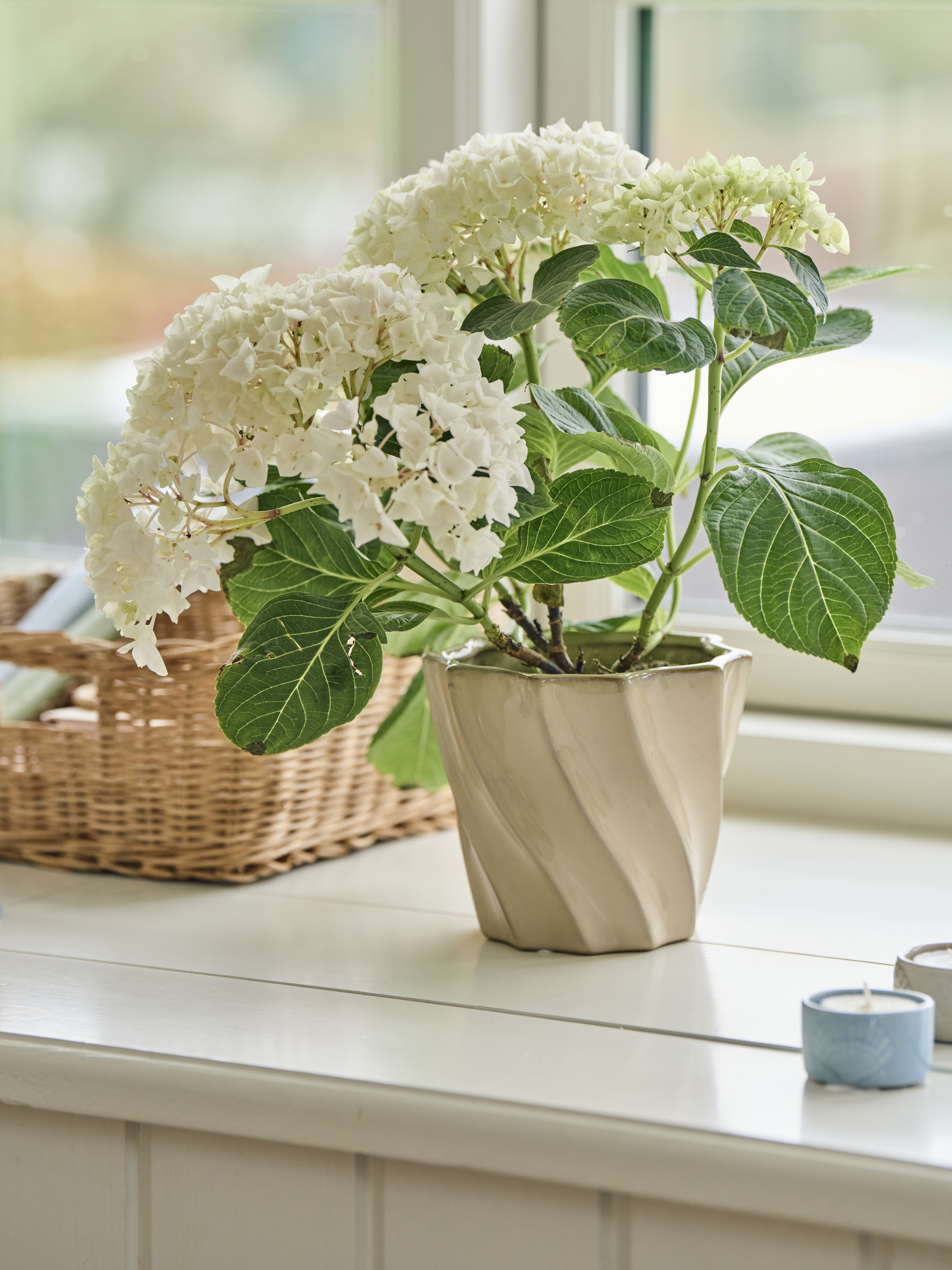 Cottage Living Sostrene Grene Available From 16 April (5)