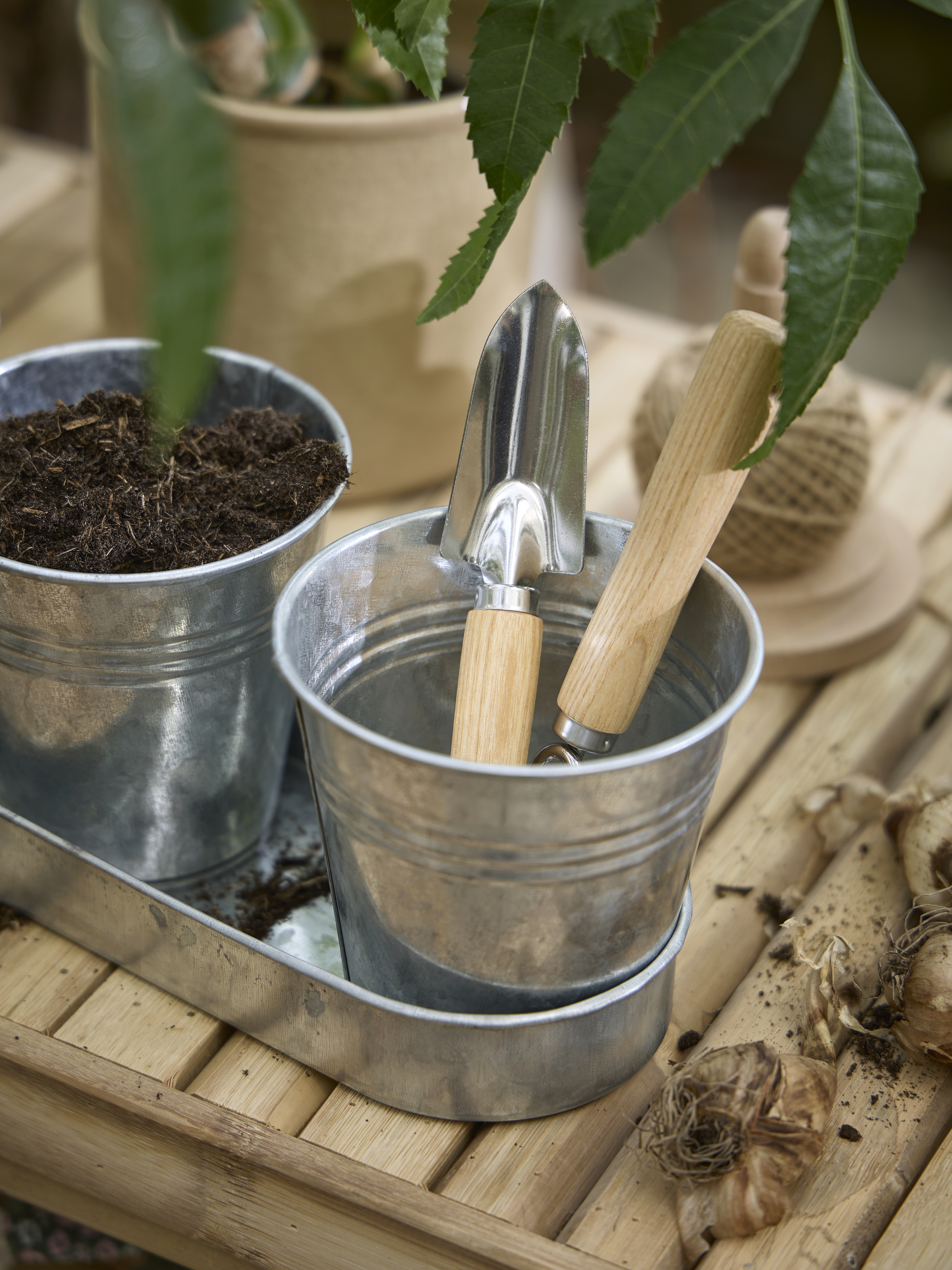 Available From 5 March 2026 Spring Preparations Sostrene Grene (40)