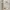 Sostrene Grene 2535 Ecom 025 C