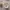 Christmas Kitchen And Baking Inspiration New Arrivals From Sostrene Grene Available From 22 October 2026 (118)