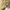 New Artificial Flowers Sostrene Grene Available From 31 July 2025 (10)
