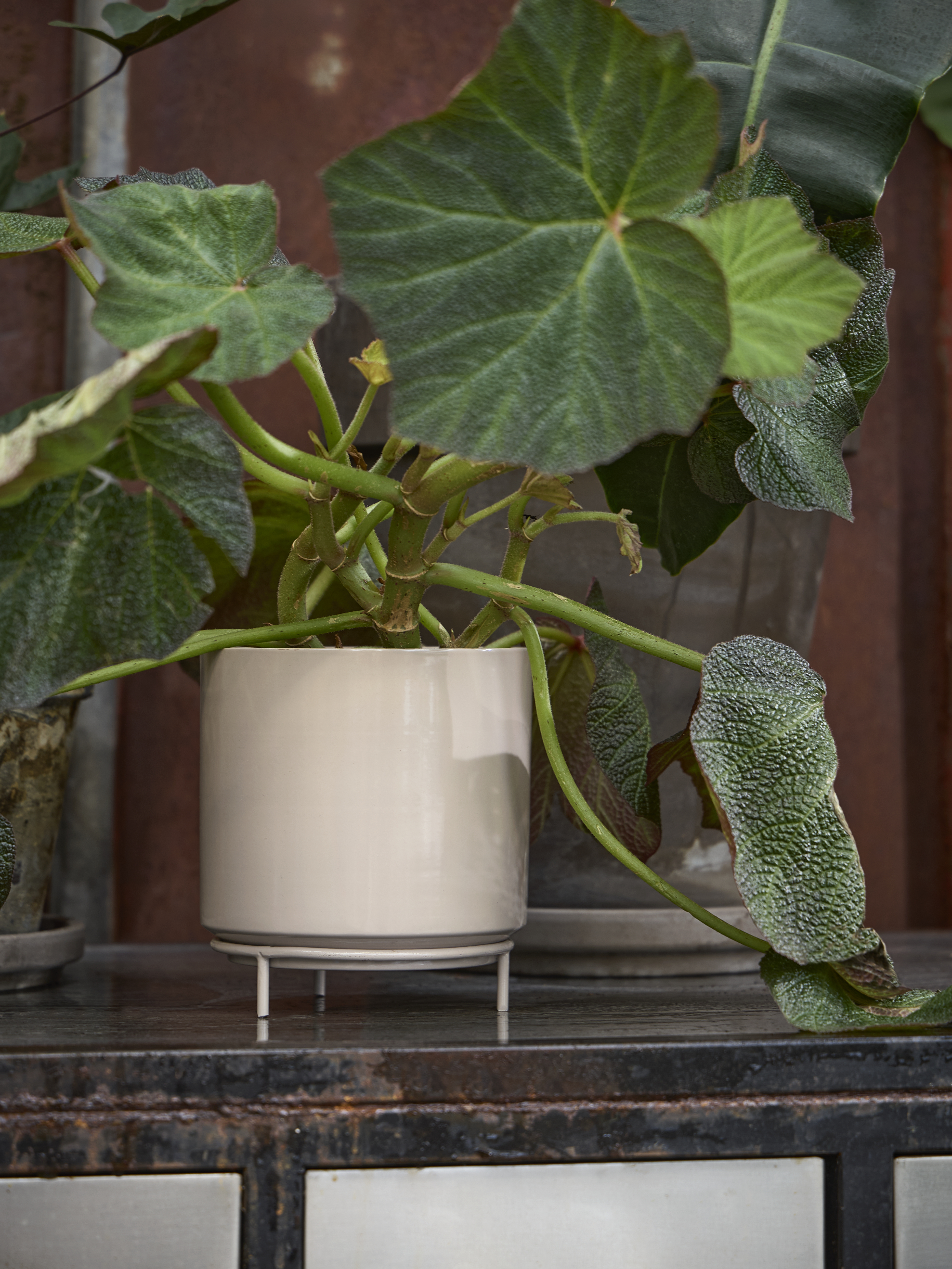 Available From 5 March 2026 Spring Preparations Sostrene Grene (55)