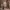 Sostrene Grene Christmas Preview Available From October 2025 (3)