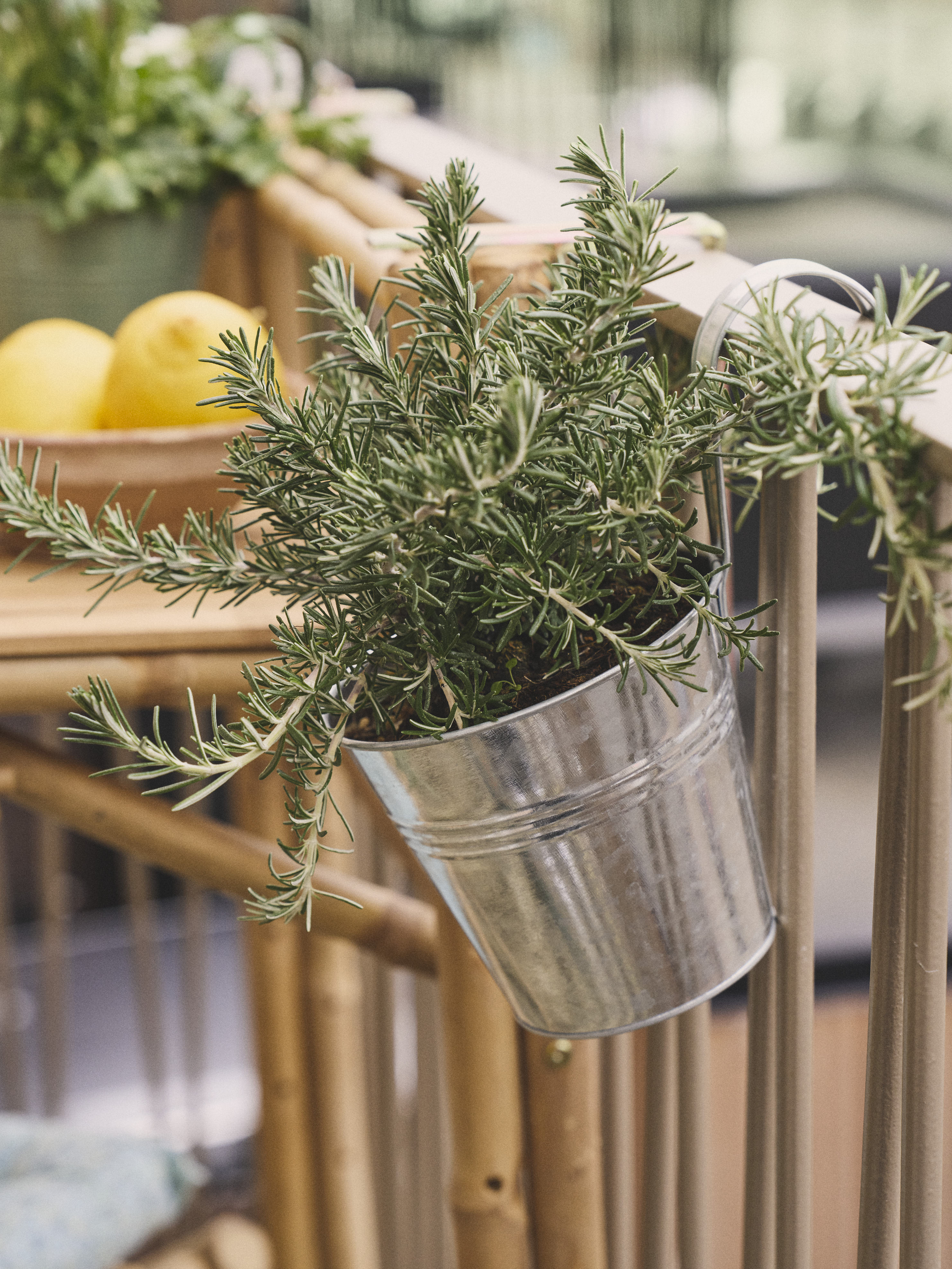 Available From 19 March 2026 Outdoor Living Sostrene Grene (68)