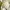 New Artificial Flowers Sostrene Grene Available From 31 July 2025 (9)