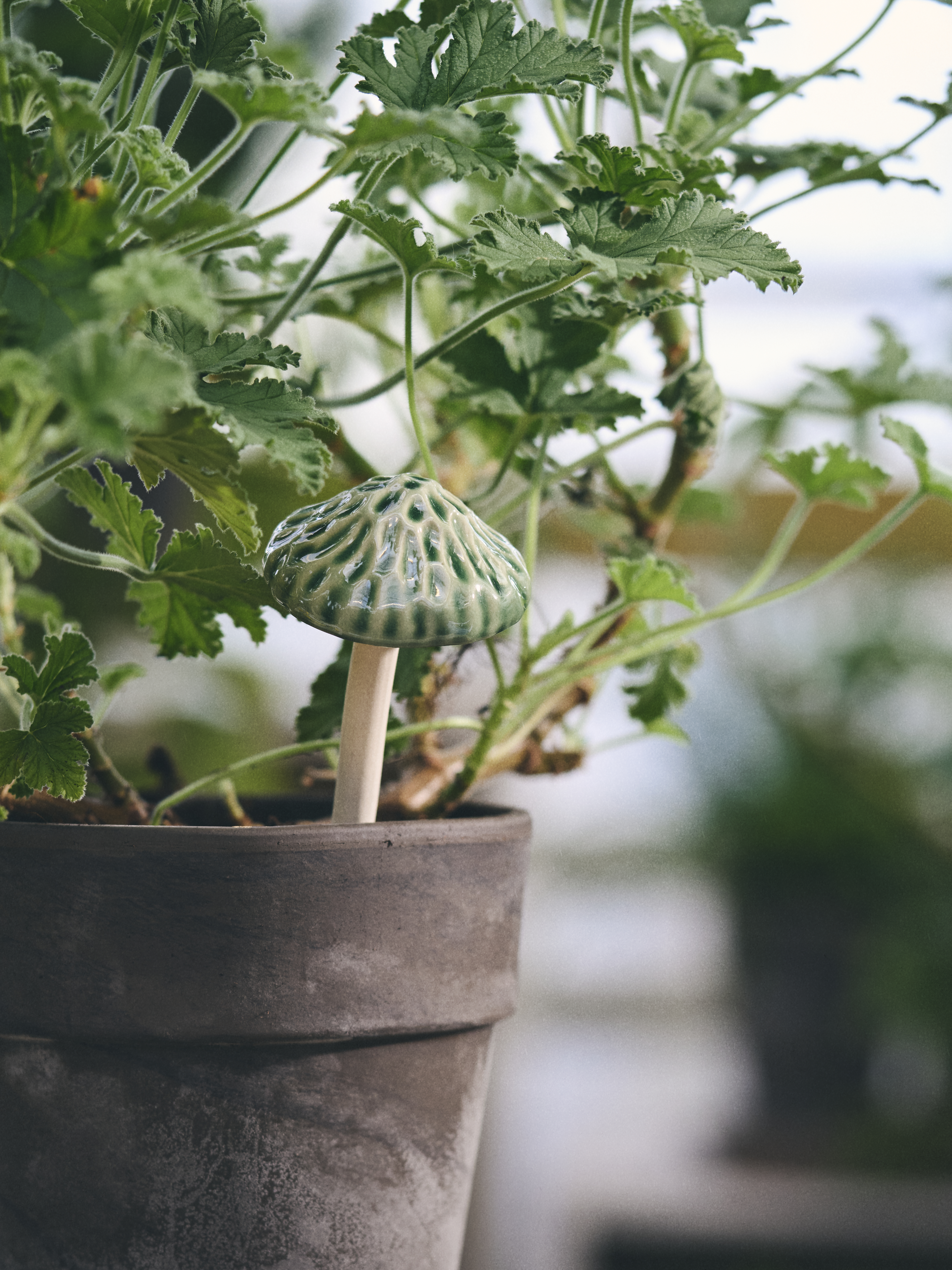 Available From 19 March 2026 Outdoor Living Sostrene Grene (20)