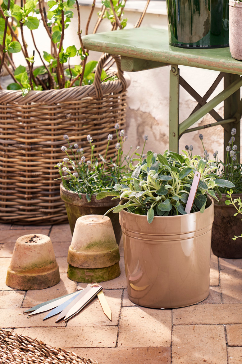 Let The Garden Speak To The Senses (1)